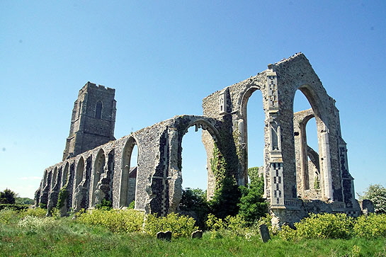 Covehithe Web053