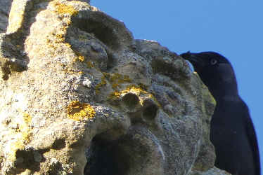 Harlaxton032