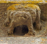 Hungarton lizard Hungarton lizard