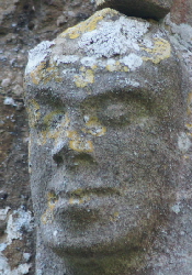 Muston (101)a Muston (101)a