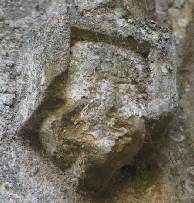 Muston (97)a