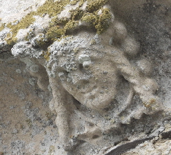Plungar Bonnie (27)a