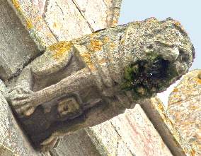 Wymondham (15)a Wymondham (15)a