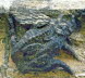 Bloxham (109) a